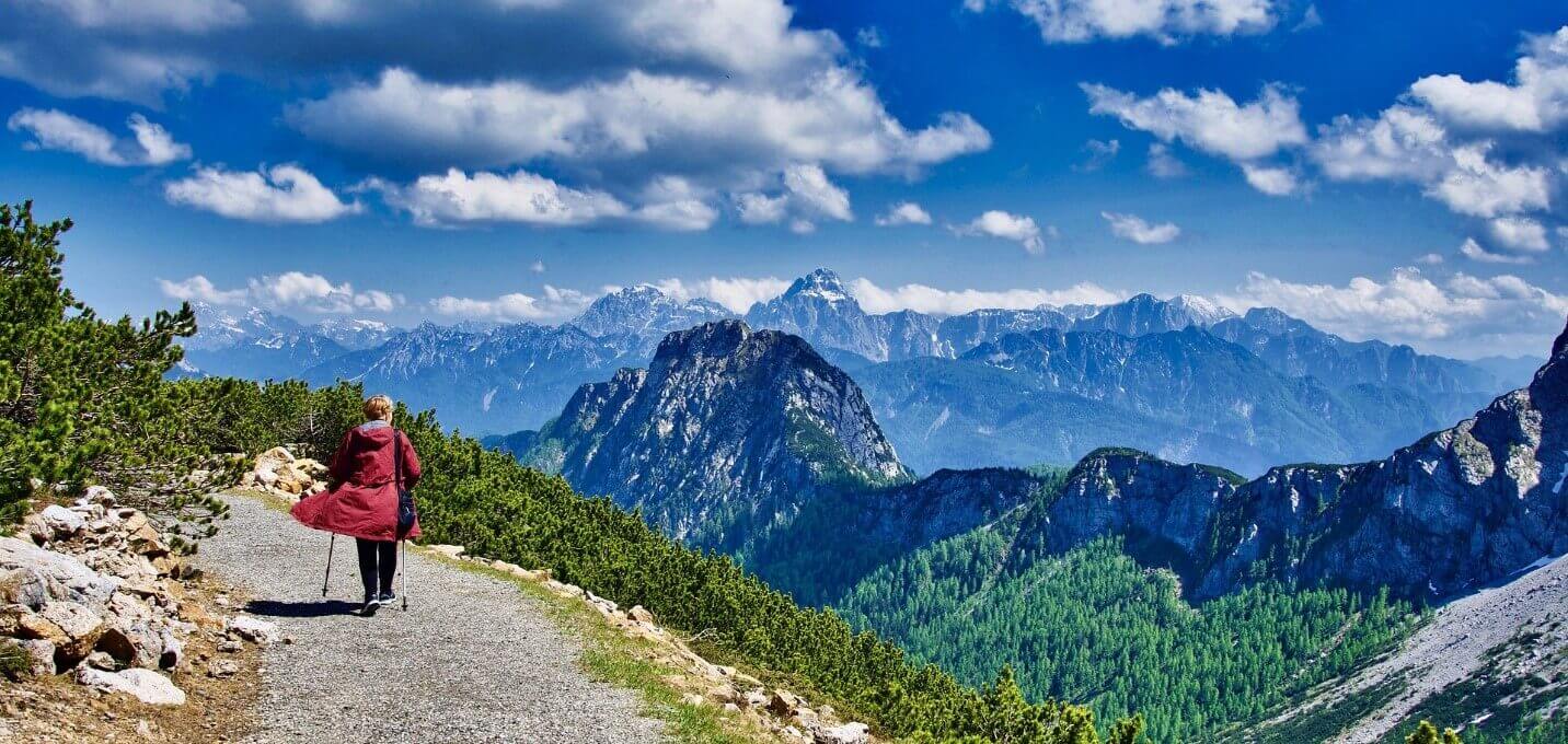 🌍 Viajes: convierte tus momentos en historias de aventuras con ofertas de viaje exclusivas.